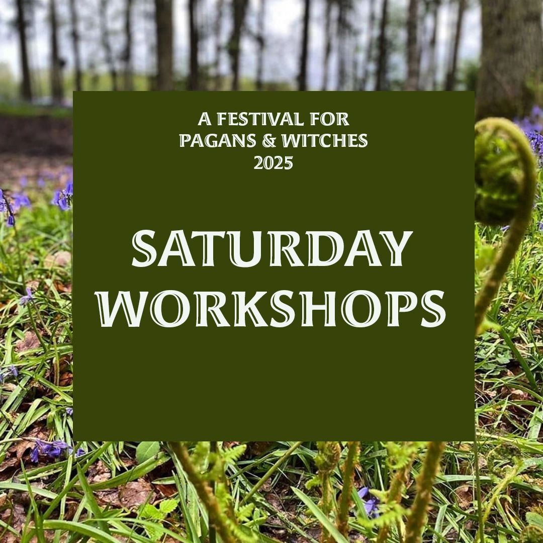 Saturday Workshops