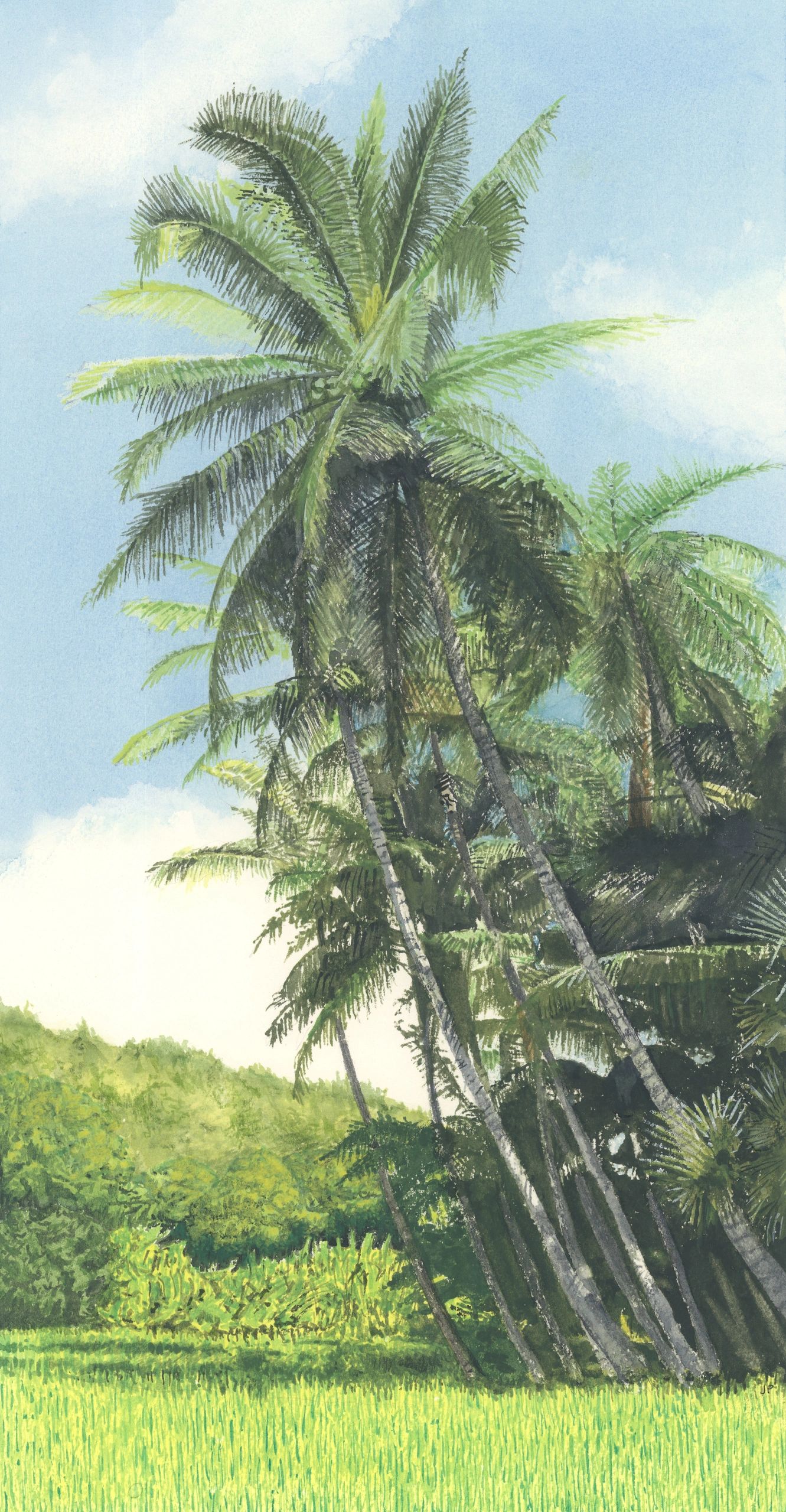 Lush palm trees leaning over a vibrant green field under a clear blue sky.