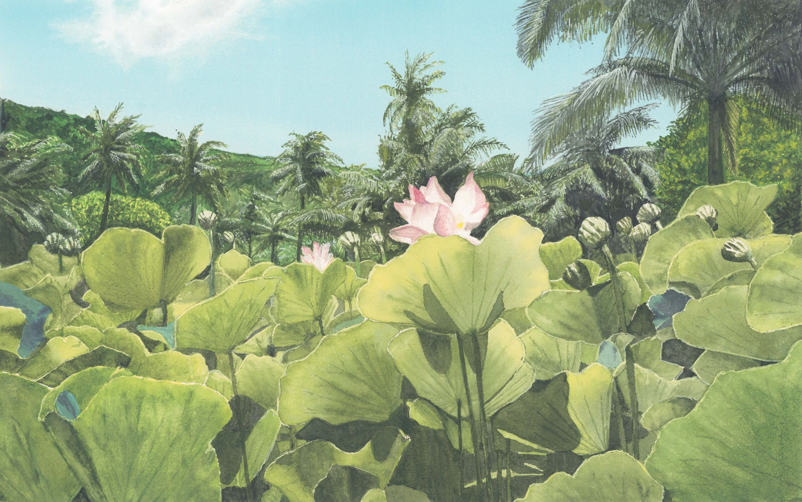 Lush lotus plants with pink flowers under a bright blue sky and palm trees.