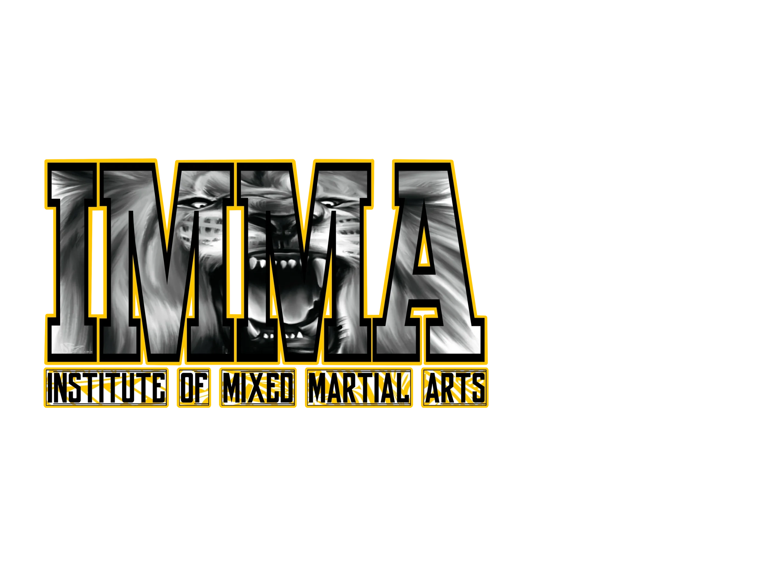 The Institute of Mixed Martial Arts
