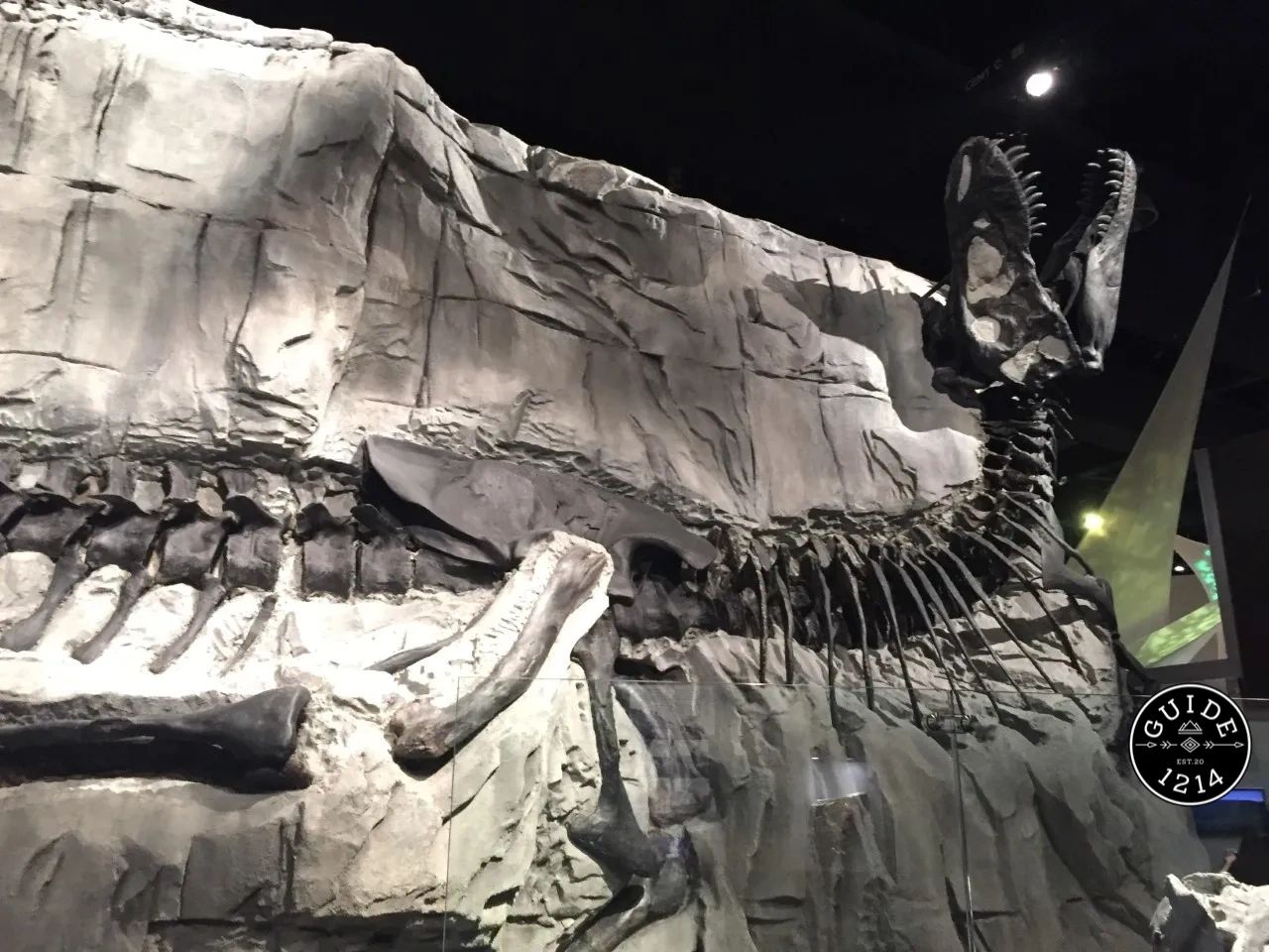 Royal Tyrell Museum - Drumheller, Alberta