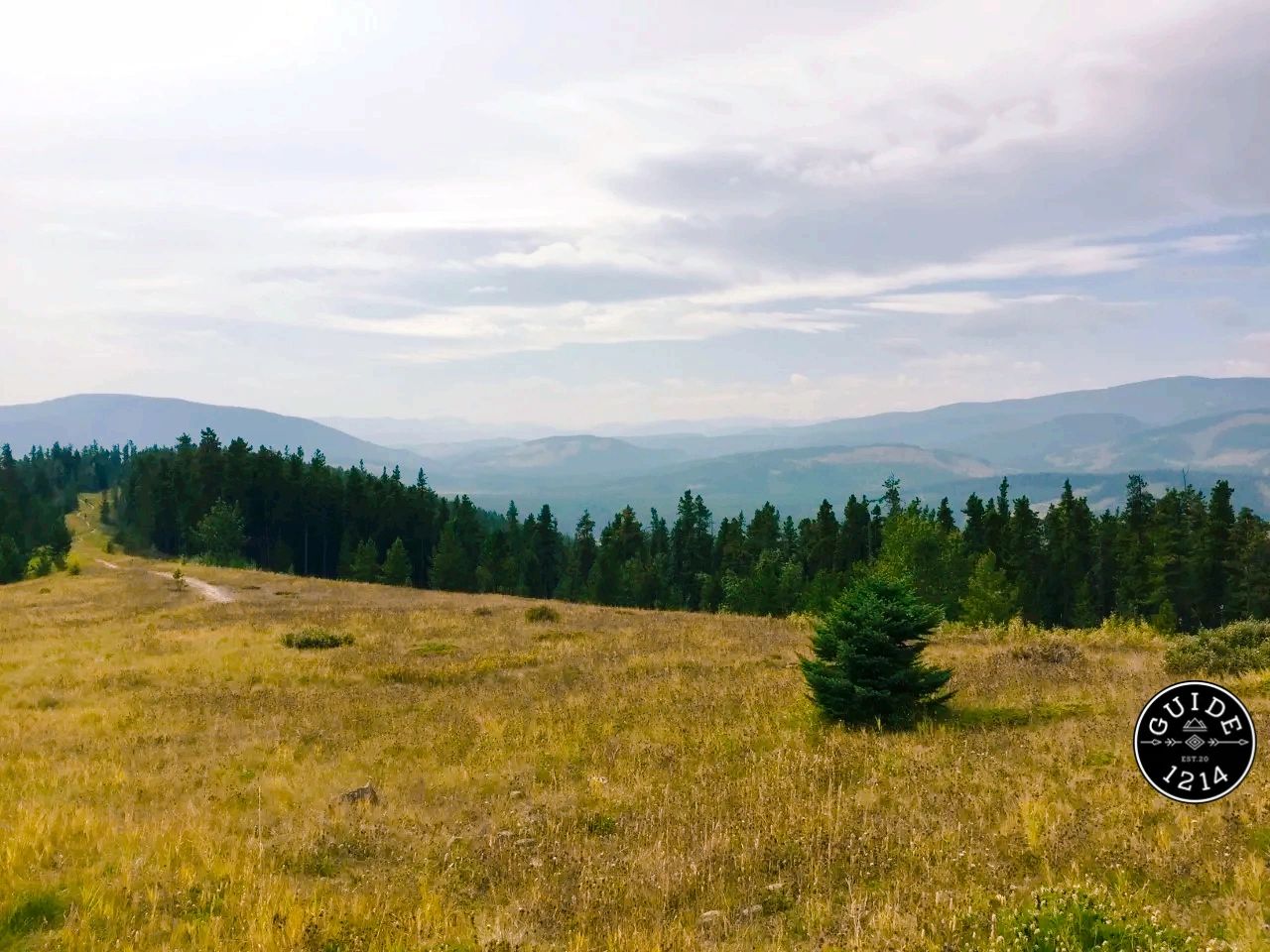 A view from the Merlin Loop lookoff in West Bragg Creek Provincial Park