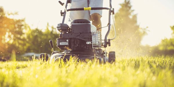 lawn mower in sun