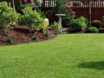 beautiful garden and green lawn