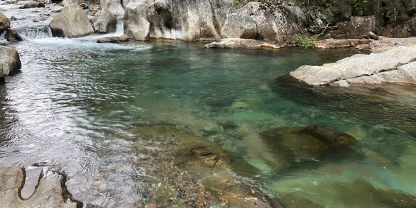 Clear turquoise water flowing gently over rocks in a serene river setting.