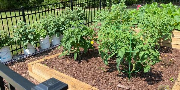 Community Garden