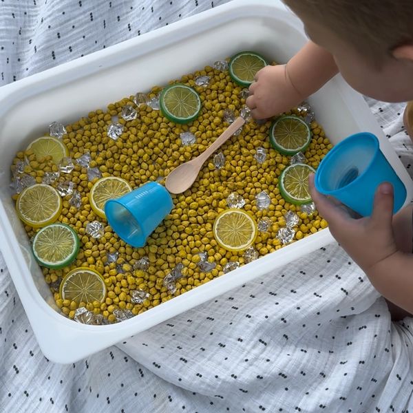 Lemonade Stand Pour & Play