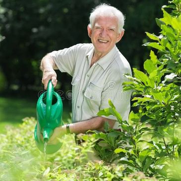 senior man gardening smiling