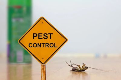 Pest control sign with dead insect.