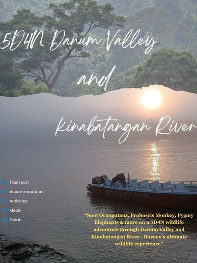 Rainforest jungle Danum valley and Kinabatangan River tour