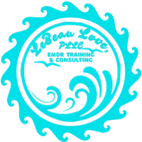 LeBeau Love, PLLC

EMDR Training and Consulting