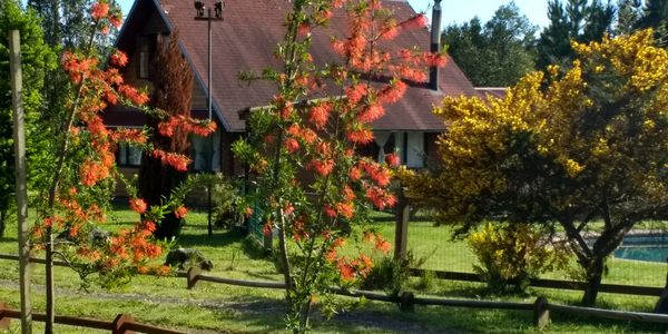 Cabañas Pucón, Alojamiento en Pucón, Cabañas Tres Volcanes, Volcán Villarrica