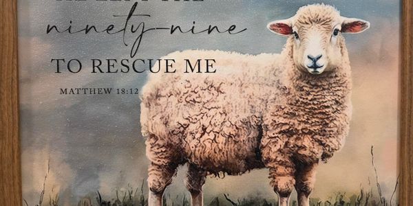 A sheep with a Bible verse about being rescued.