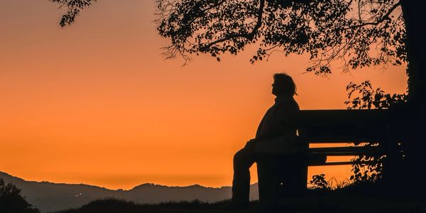 A person sitting on top of a bench under a tree.