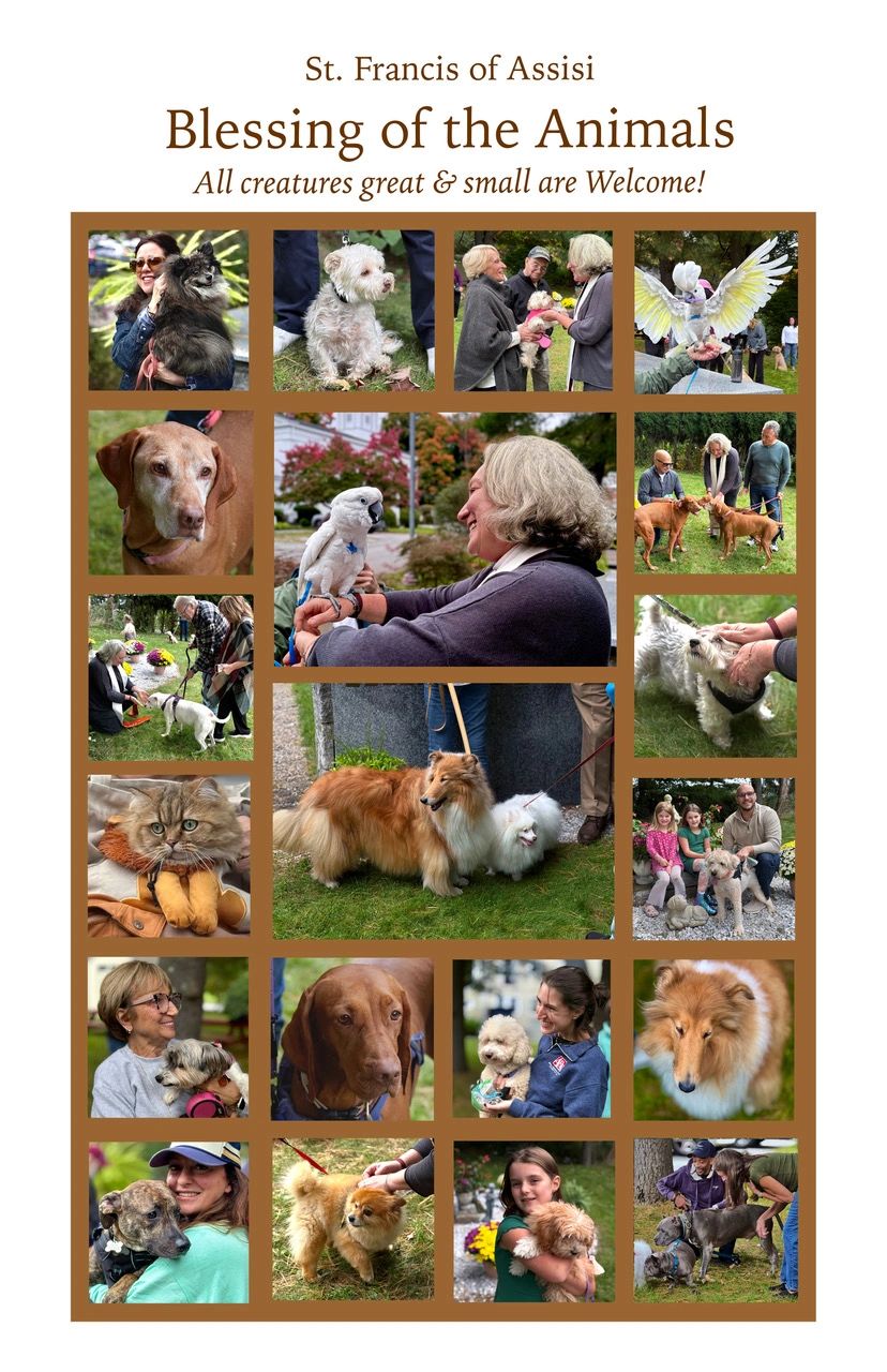 Collage of pets and owners at St. Francis of Assisi Blessing of the Animals event.