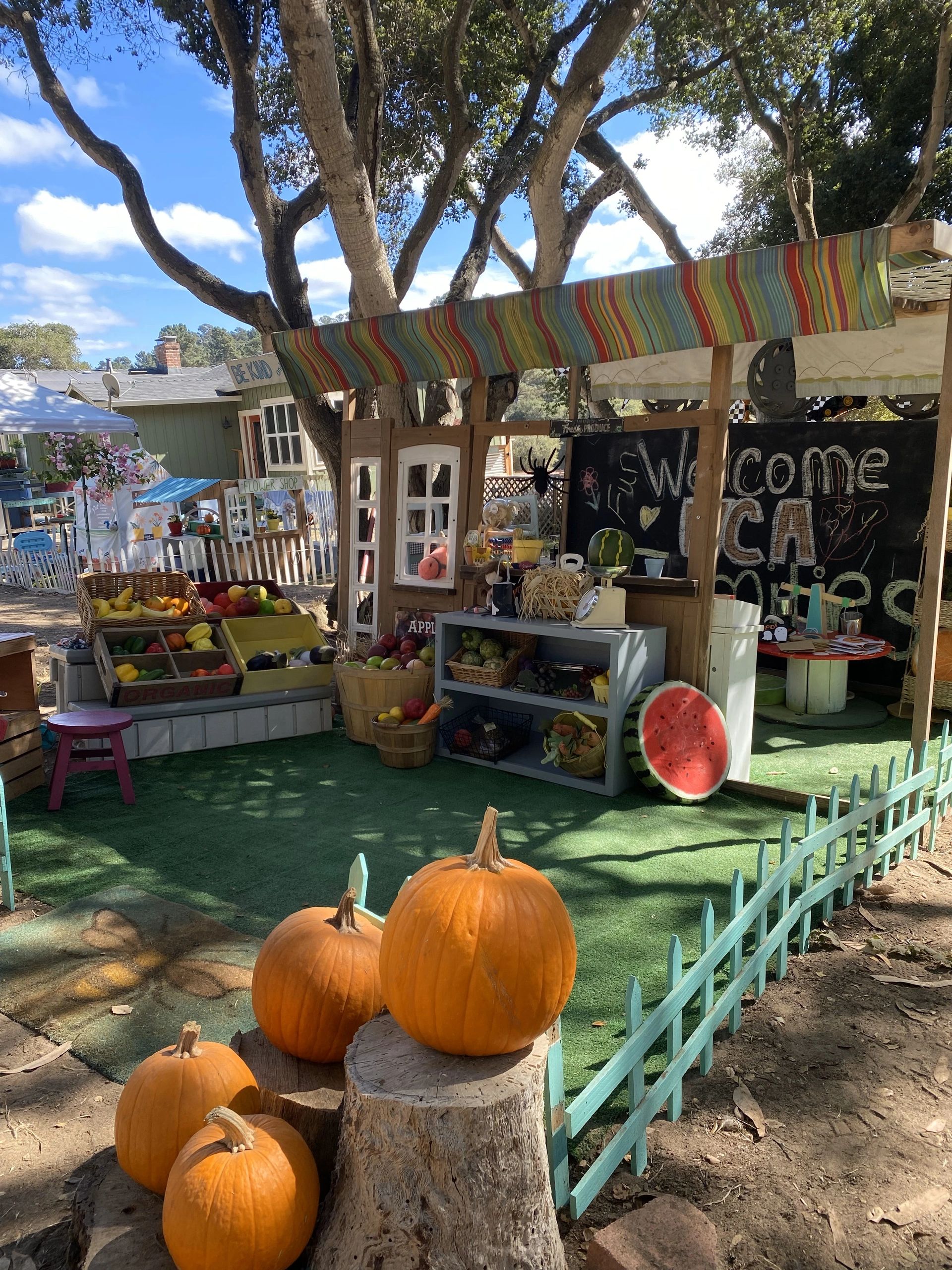 Visit the farm