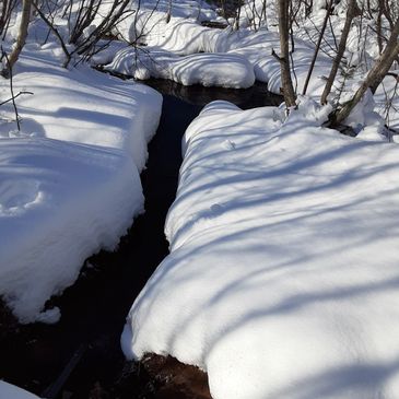 Canadian ColdFlo comes from this 32 ppm naturally pure spring water source