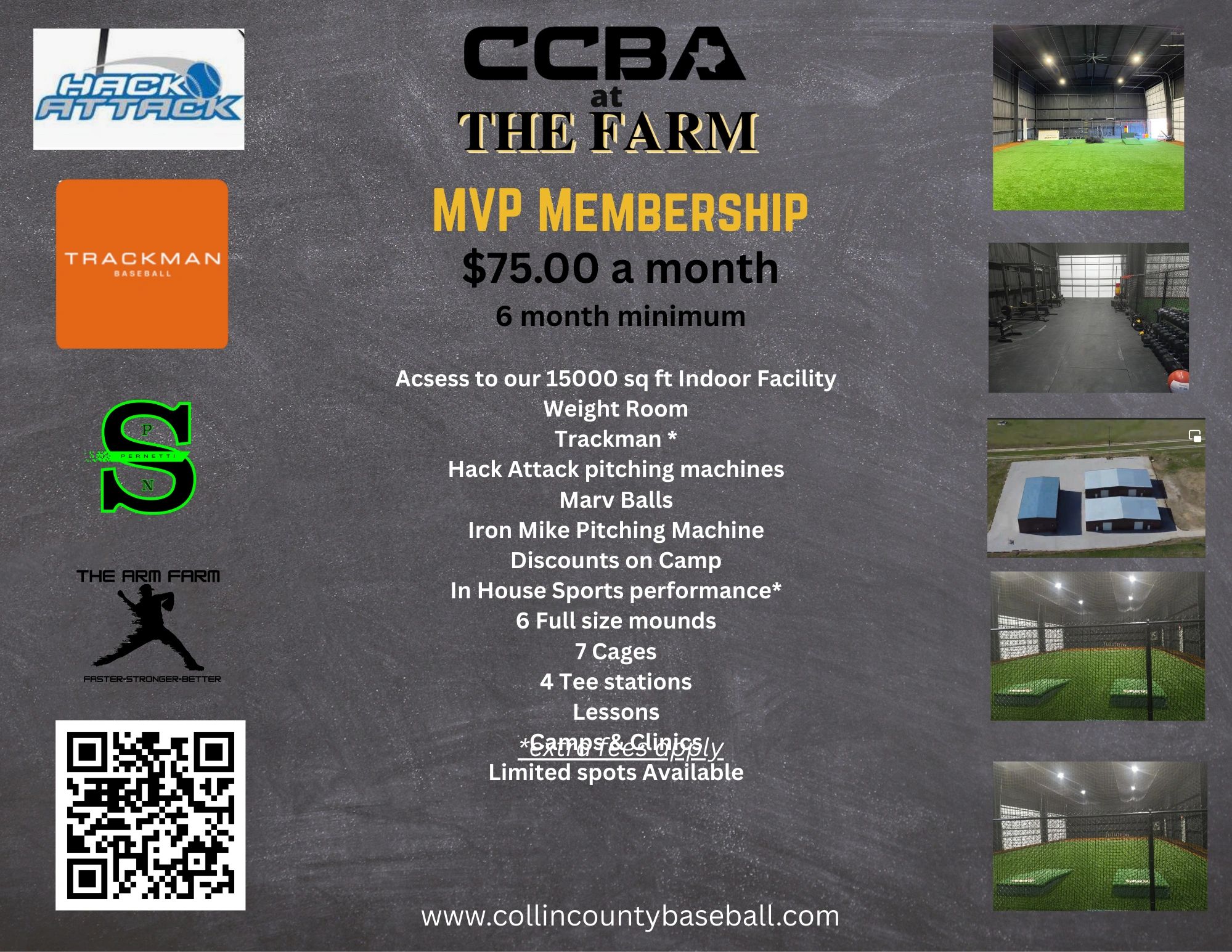 MVP Monthly Membership