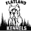 Flatland Kennels