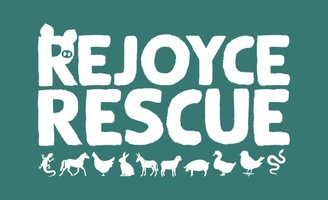 ReJoyce Rescue