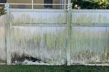 Dirty, algae covered white vinyl fence.