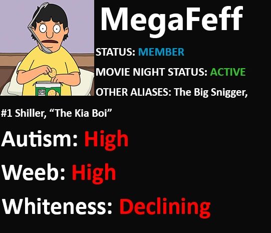 Profile card of a character named MegaFeff with various personal statuses and traits.