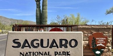 Entrance sign of Saguaro National Park with tall cacti in the background.