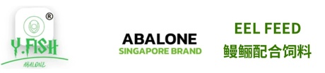  Y.fish Abalone
