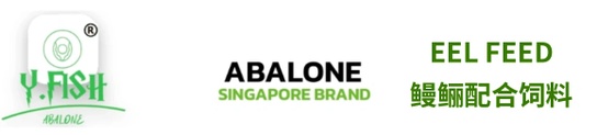  Y.fish Abalone