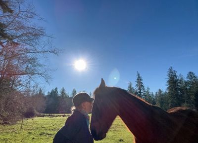 Person and horse share a moment under bright sunlight in a peaceful field.
