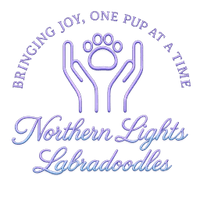 Northern Lights Labradoodles