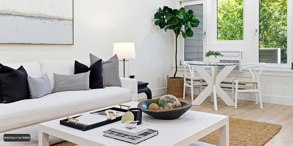 Bright, modern living room with white furniture and green plant.