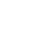 White Flamingo Marketing