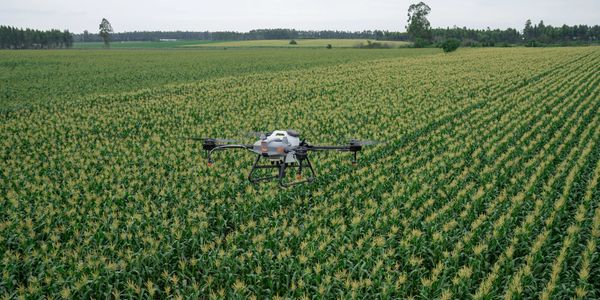 Autonomous Spray drone