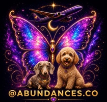 Abundances Healing and Wellness Company