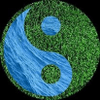 Balance Lawn Landscape Development