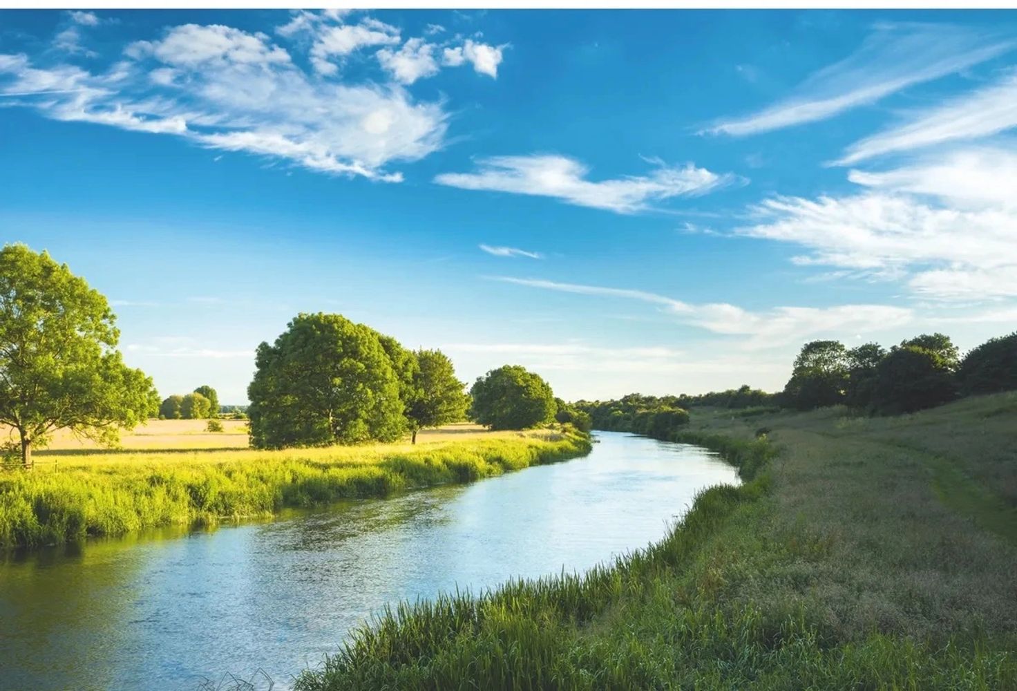 A serene river flows through lush greenery under a clear blue sky.