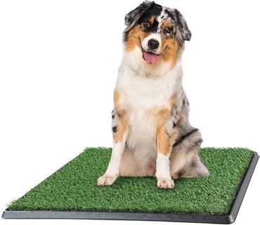 Artificial Grass Potty Training