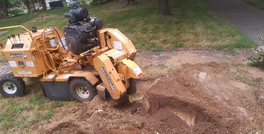 Stump grinding