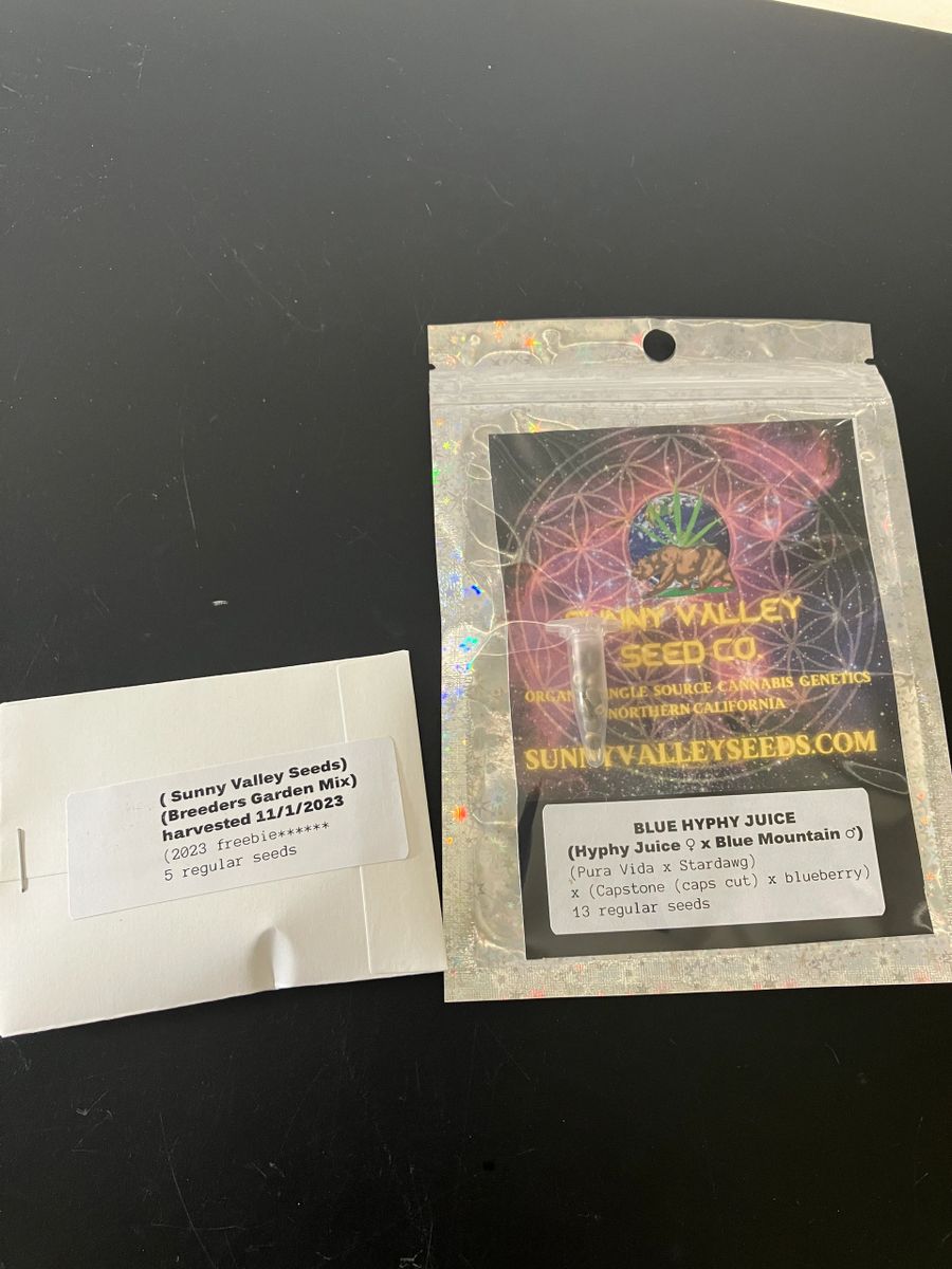 NEW * Blue Hyphy Juice pack of 13 seeds with freebies