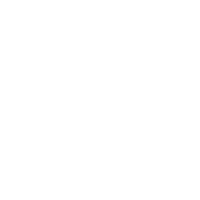 White Owl Data