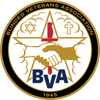 Houston BVA.com