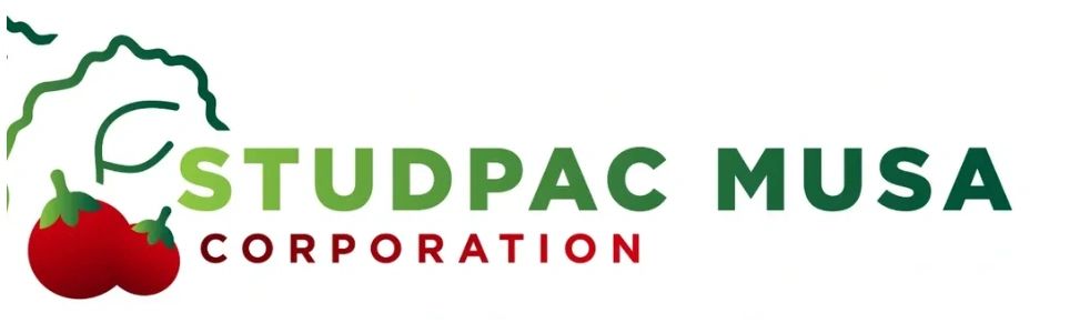 STUDPAC MUSA Global logo