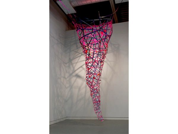 Joan Grubin, Air Net