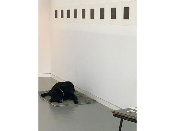 Gallery installation view