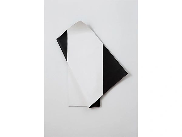 Deb Covell, Fold 1, 2013