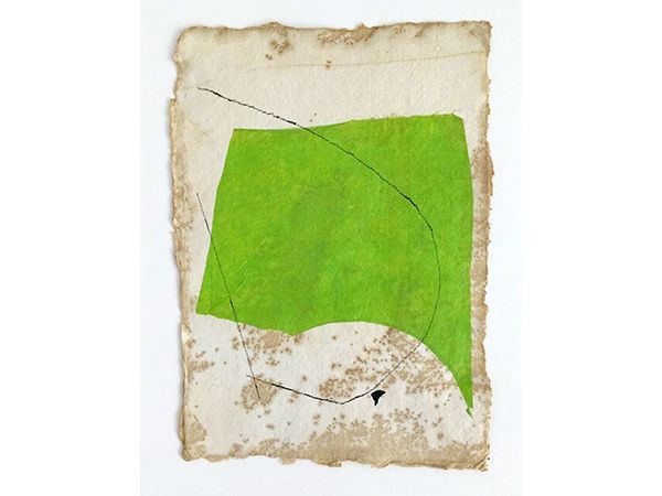 Diane Englander