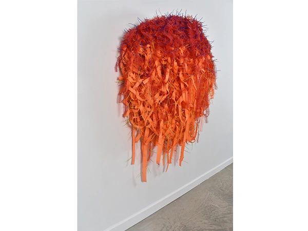 Joe Fucigna, Burning Bush, 2016
