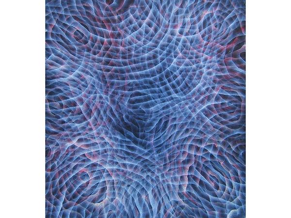 William Holton, No. 27, 2011