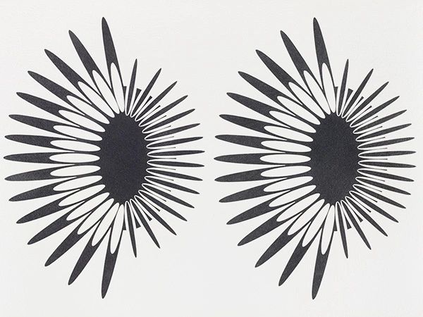 Jane Harris, Orbiters 6, 2015, Graphite on Arches paper